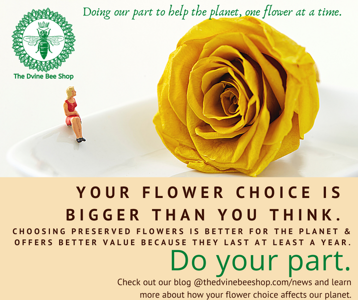 The Flowers You Buy Can Help the Planet